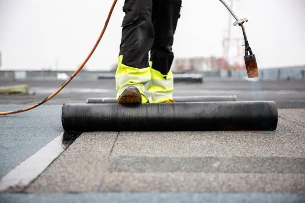 Best Solar Panel Roofing Installation  in Viera West, FL